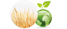3º ACTIVOS DERMOCOSMÉTICOS ESPECÍFICOS POR PRODUCTO