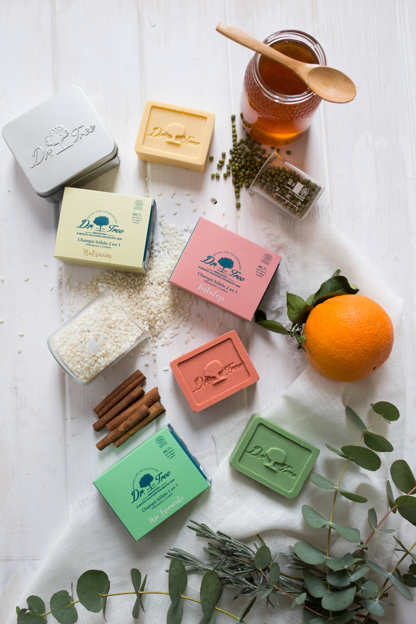Bodegón champús sólidos de Dr. Tree con ingredientes naturales