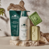 Conjunto de productos de dr tree