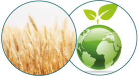 Dr Tree Champu 400ml 3 complejo hidratacion natural eco friendly e1606218453327.png