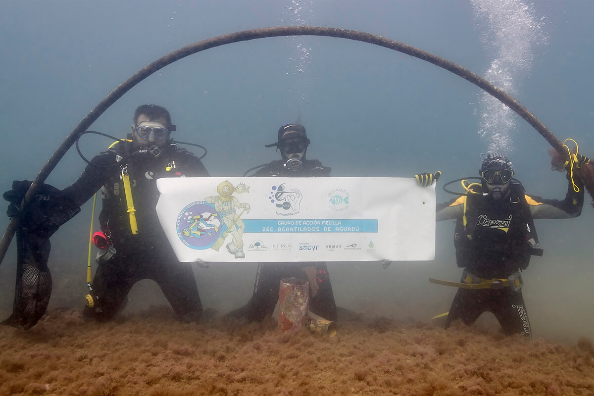 Colaboración Oceánidas para la conservación y protección de mares y océanos.