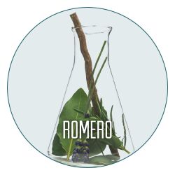 Ingredientes y activos botánicos como el Romero