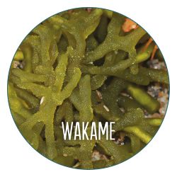 Ingredientes y activos botánicos como el Wakame: Detoxiﬁcante y remineralizante.