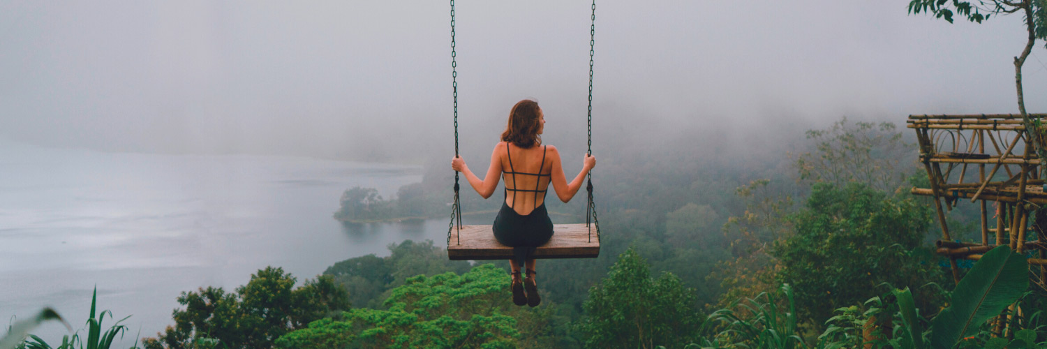 banner blog Dr. Tree