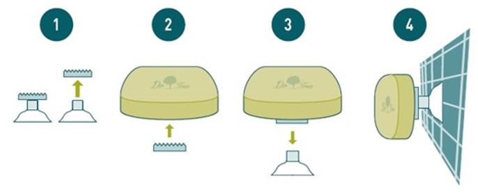 Instrucciones de cómo usar imán porta sólidos