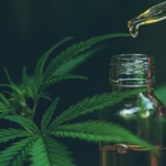 Diferencias entre CBD y THC