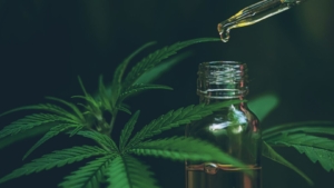 Diferencias entre CBD y THC
