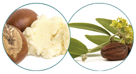 Iconos de manteca de karité, jojoba y mimosa